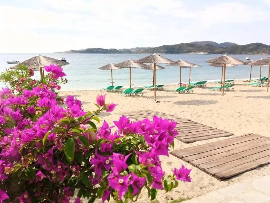 Vilas In The Garden By The Sea Sykia Chalkidikis Greece